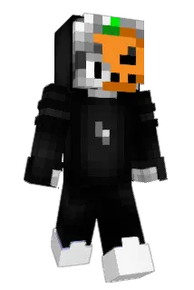 Fetzer998 Minecraft avatar full body