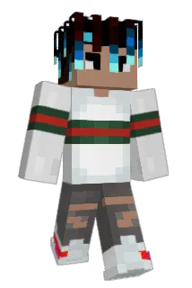 FewsorY Minecraft avatar full body