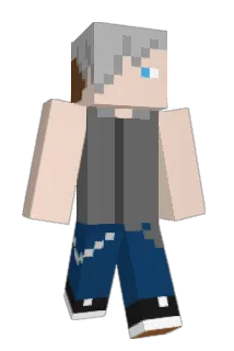 FiPSi48 Minecraft avatar full body