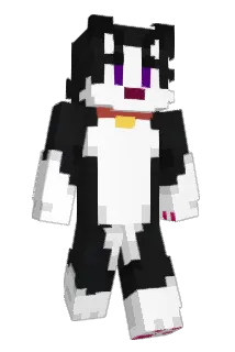 Fiacik Minecraft avatar full body