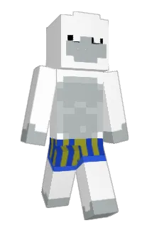 FibrOptique_ Minecraft avatar full body