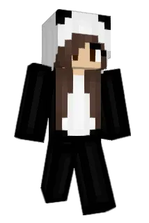 Fidgit40 Minecraft avatar full body