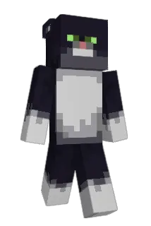 FigaAndLucy Minecraft avatar full body