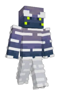 Fighter1746 Minecraft avatar full body