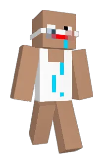 FighterWilll Minecraft avatar full body