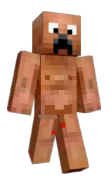 Custom render preview