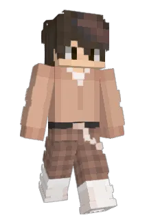 Fillobus26 Minecraft avatar full body