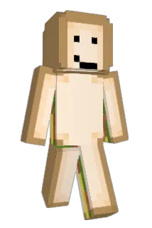 FinPeluri Minecraft avatar full body