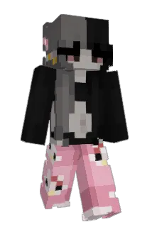 Finn2112q Minecraft avatar full body