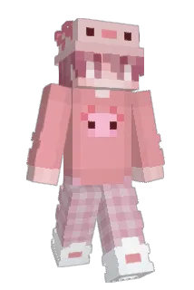 Finn3y Minecraft avatar full body