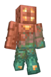 FinnDash Minecraft avatar full body