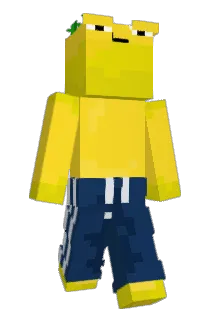 FinnM2013 Minecraft avatar full body
