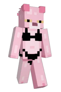 FinnWasNot Minecraft avatar full body