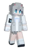 Finn_Sky Minecraft avatar full body