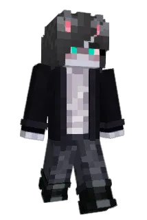 Finn_The_Cat Minecraft avatar full body