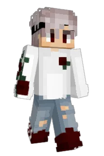Finnesed Minecraft avatar full body