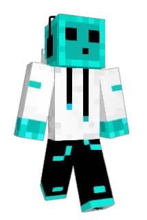 Finon Minecraft avatar full body