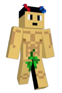 FirWall Minecraft avatar full body
