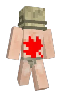 Firbo Minecraft avatar full body