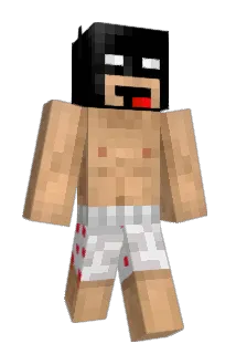 FireBird110 Minecraft avatar full body