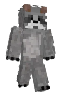 FireDragonNinja4 Minecraft avatar full body