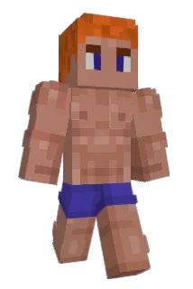 FireTeamZYX888 Minecraft avatar full body