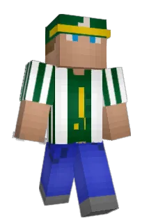 FireTurtle_ Minecraft avatar full body