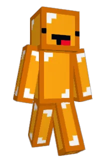 FiredOranges Minecraft avatar full body