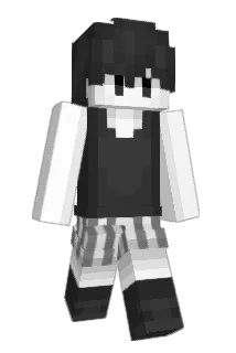 FirenetWork12_2 Minecraft avatar full body