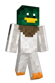 Firenewt360 Minecraft avatar full body