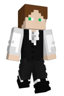 Firestar9911 Minecraft avatar full body