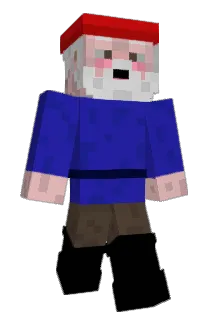 Fischli130 Minecraft avatar full body
