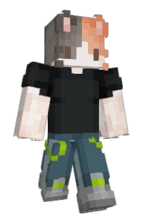 Fishingon611 Minecraft avatar full body