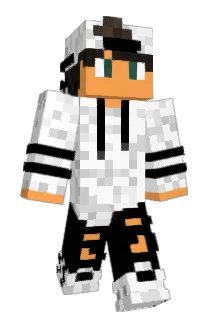 Fisioo Minecraft avatar full body