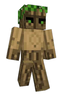 Fitz69 Minecraft avatar full body