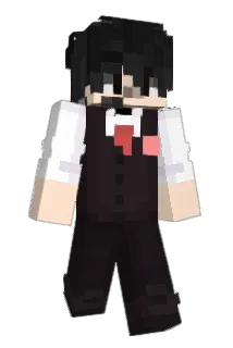 Fiwar Minecraft avatar full body