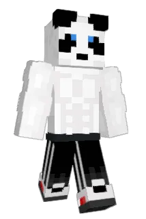 FixarKalle Minecraft avatar full body