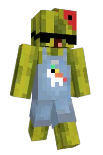 Fixii_ Minecraft avatar full body