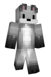 Fize Minecraft avatar full body