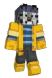 Fizxi Minecraft avatar full body