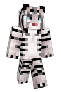 FizzledUp Minecraft avatar full body
