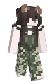 FizzyBrain Minecraft avatar full body