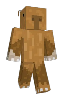 FizzyMcWhiffles Minecraft avatar full body
