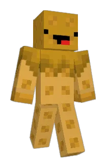 FjoortiZz Minecraft avatar full body