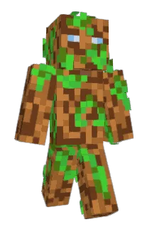 Fjuttis Minecraft avatar full body