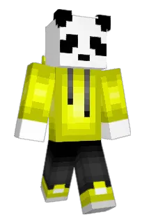 Fl0werWarrior Minecraft avatar full body