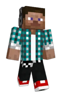 Fl4kz Minecraft avatar full body