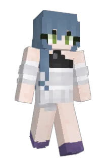 Fl4n1984 Minecraft avatar full body