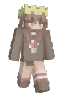 Fl4ppy456 Minecraft avatar full body