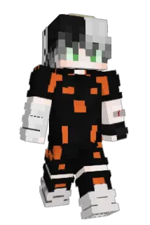 Fl4sG4a_ Minecraft avatar full body